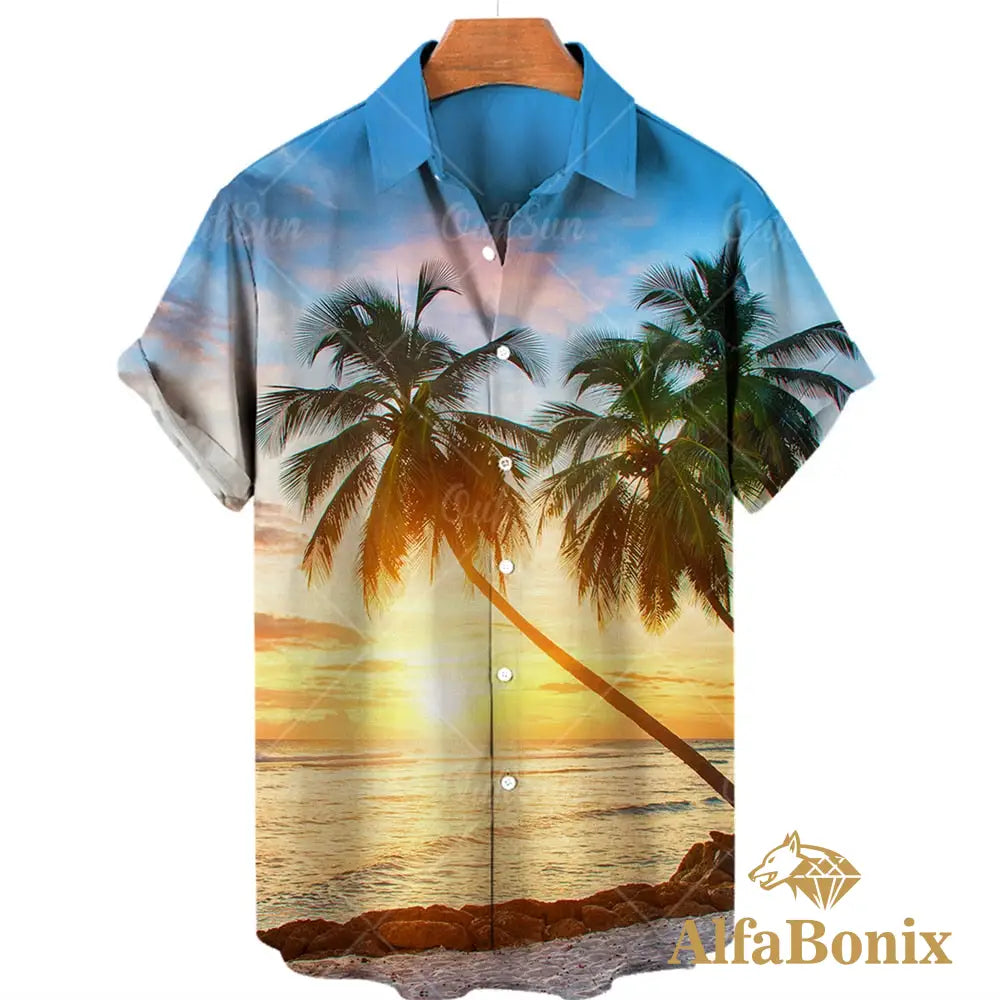 Camisa Alfabonix Coconut Bx-0046 / P