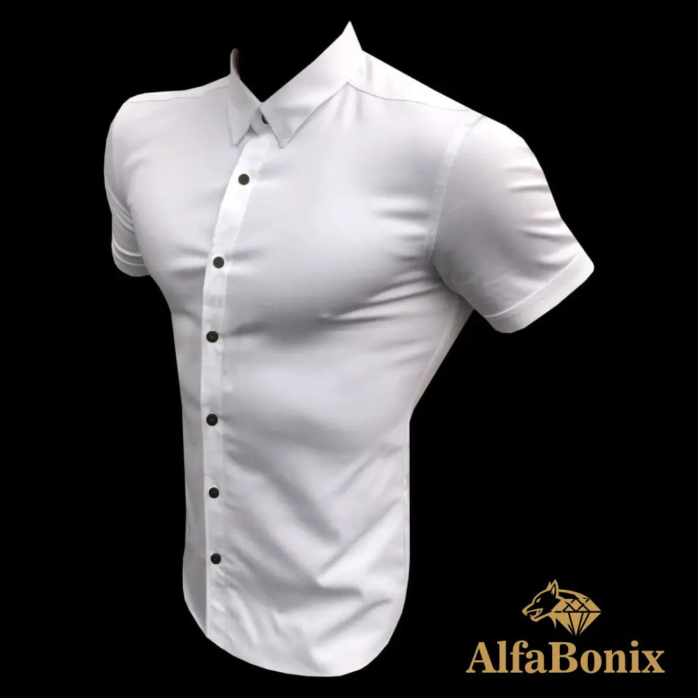 Summer Fashion Slim Fit Button Short Sleeve Shirts Men Casual Sportswear Dress Shirt Male Hipster