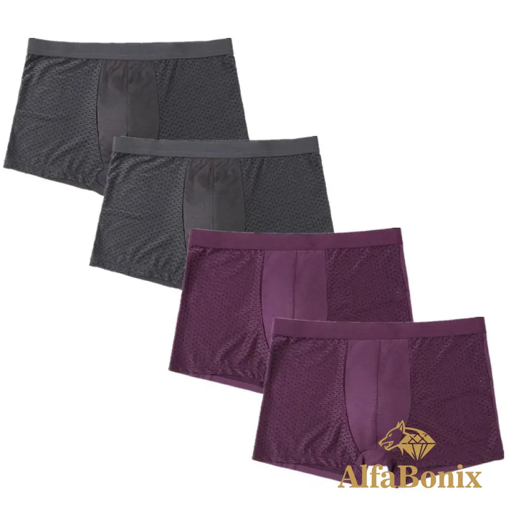 Cueca Alfa Confort 2 Cinza E Vinho / Pp